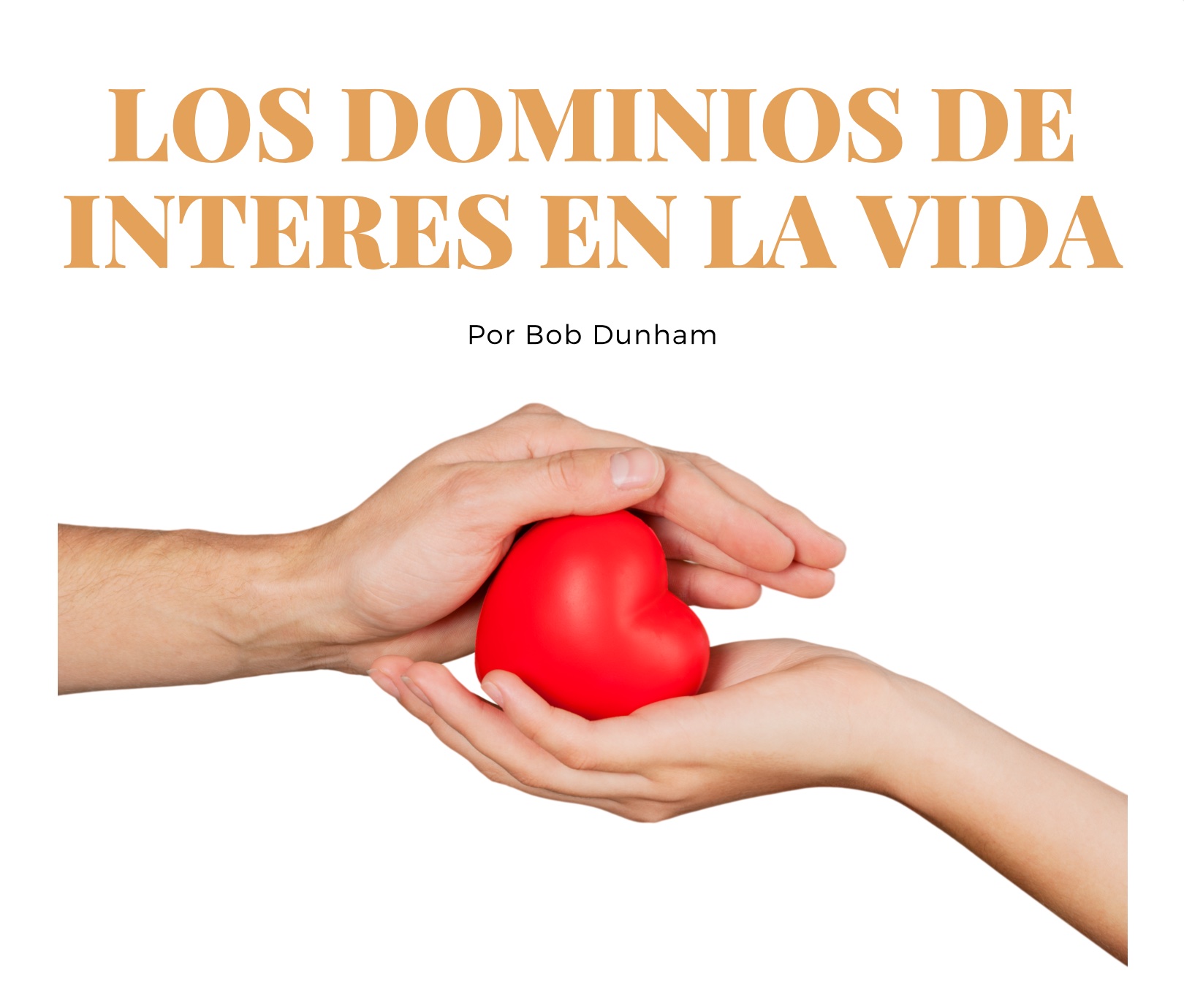 LOS DOMINIOS DE INTERÉS EN LA VIDA